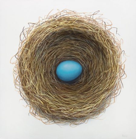 robin egg nest