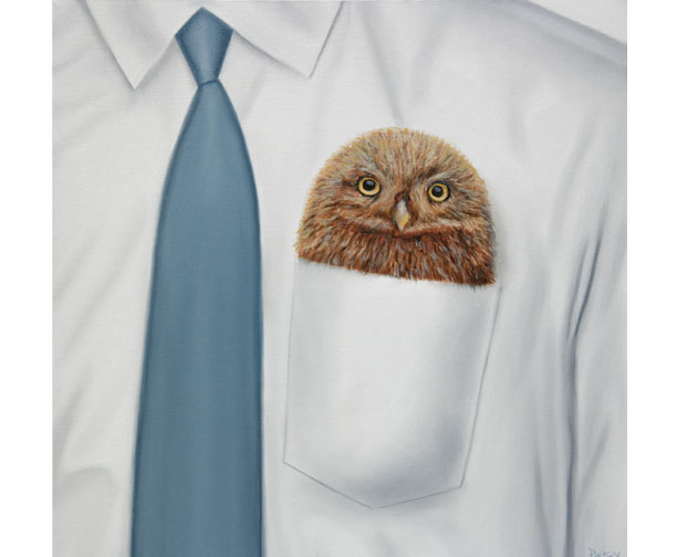 stephen perry artist, pocket owl,