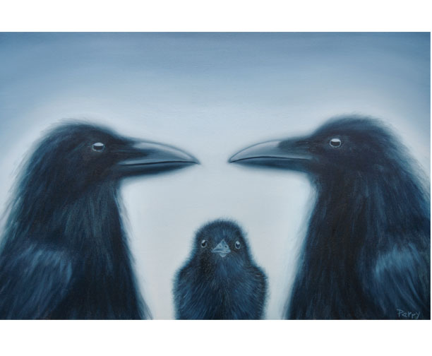 stephen perry artist, crows, baby crow