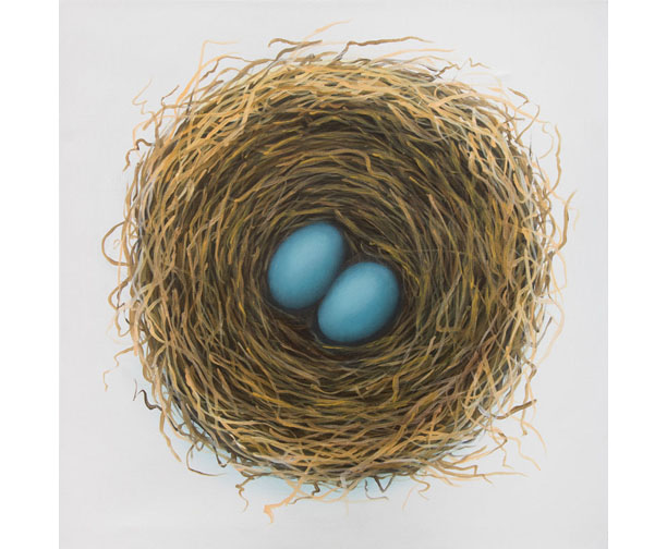 stephen perry artist, robin eggs, nest, painting