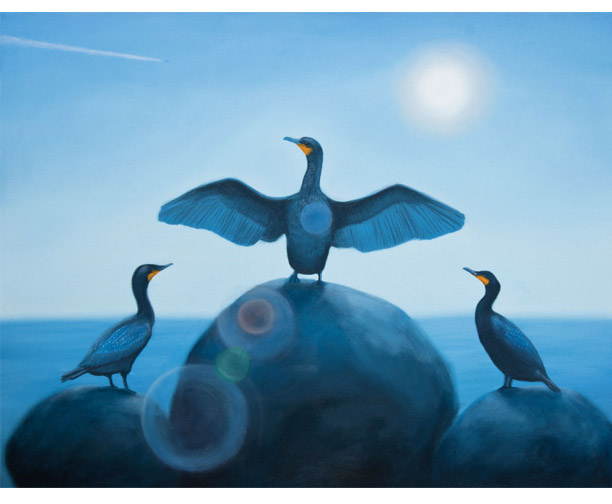 stephen perry artist, cormorants